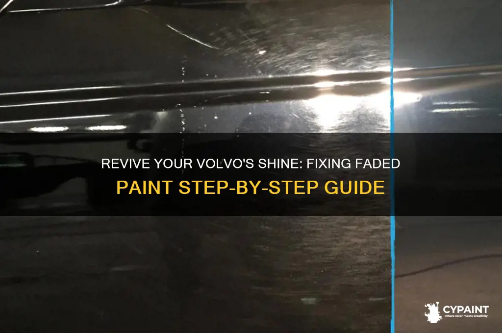 how to fix paint on faded volvo