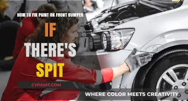 Quick Fix: Repairing Paint Damage on Your Front Bumper from Spit