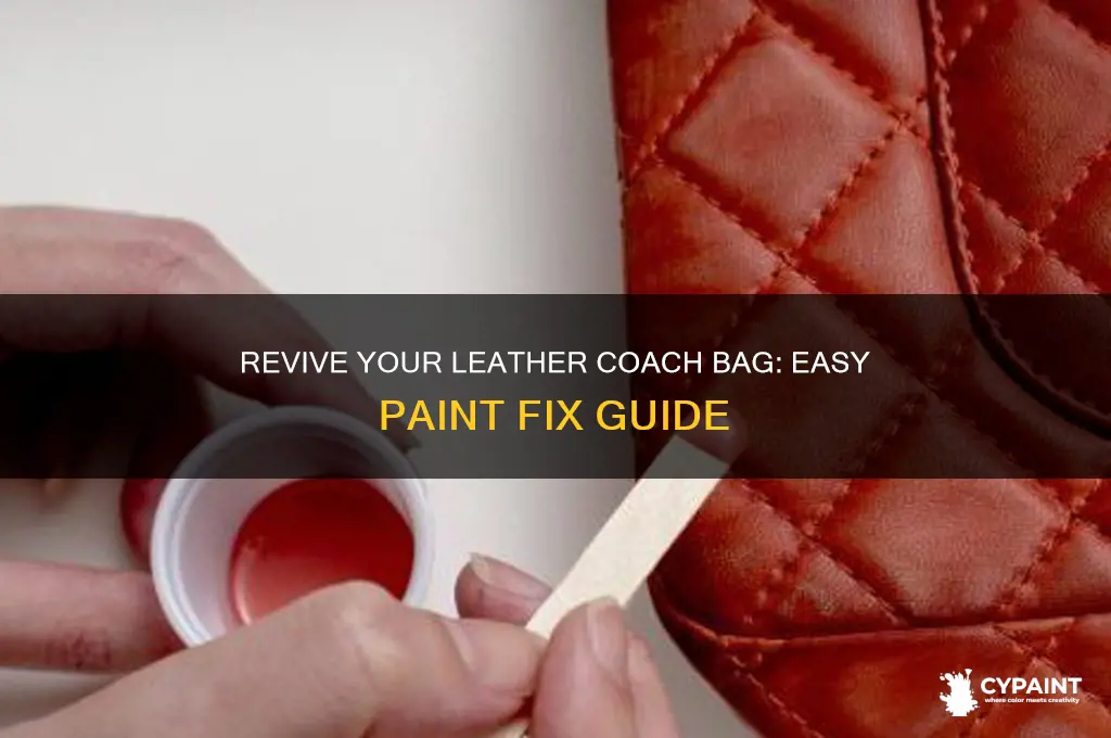 how to fix paint on leathet coach bag