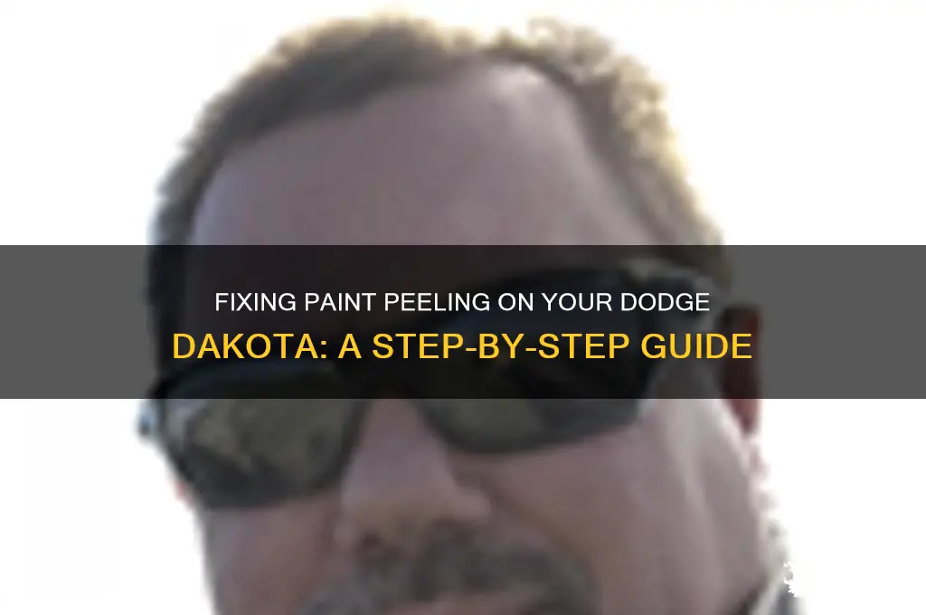 how to fix paint peeling off dodge dakota