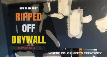 Repairing Ripped Drywall: A Step-by-Step Guide to Fixing Paint Damage
