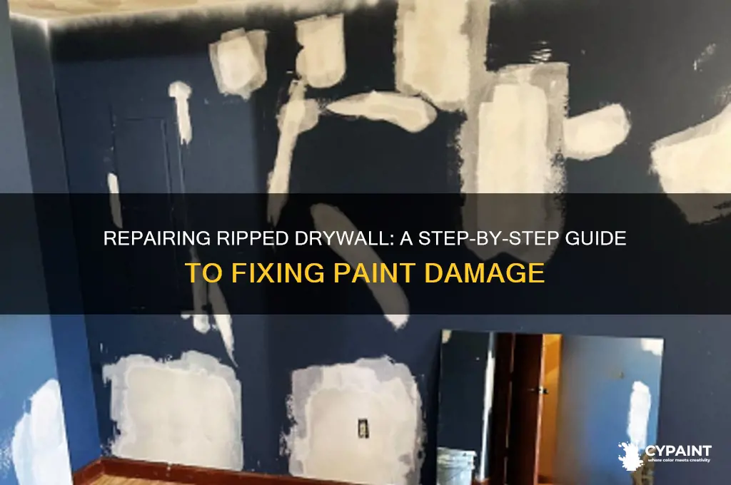 Repairing Ripped Drywall: A Step-By-Step Guide To Fixing Paint Damage ...