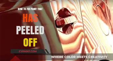 Revive Your Walls: Effective Steps to Repair Peeled Paint