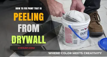 Repairing Peeling Paint: Drywall Preparation and Painting Techniques