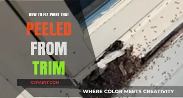 Revive Your Trim: Easy Steps to Repair Peeled Paint
