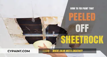 Fix Peeled Sheetrock Paint: Step-by-Step Repair Guide for Smooth Walls