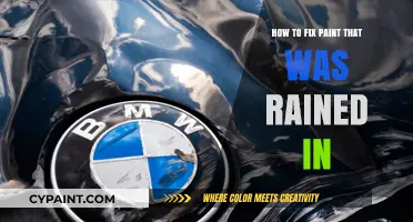 Reviving Rain-Damaged Paint: Quick Fixes and Restoration Tips