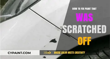 Quick Fixes for Scratched Paint: Restore Your Surface Like New