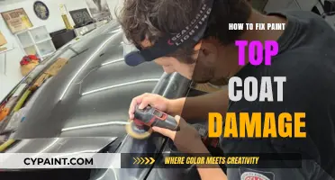 Repairing Paint Top Coat Damage: A Step-by-Step Restoration Guide