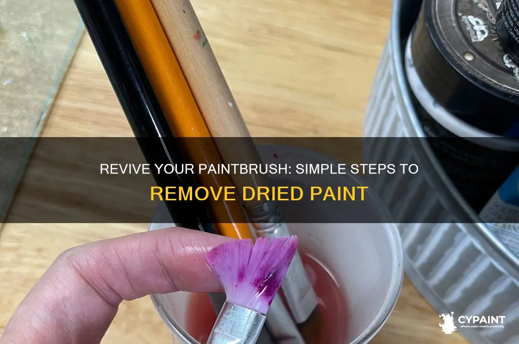 how to fix paintbrush with dried paint
