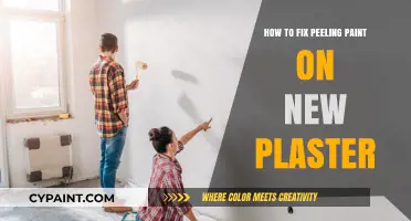 Fix Peeling Paint on New Plaster: Quick and Effective Solutions