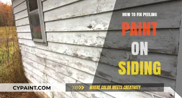 Revive Your Home's Exterior: Effective Solutions for Peeling Paint on Siding