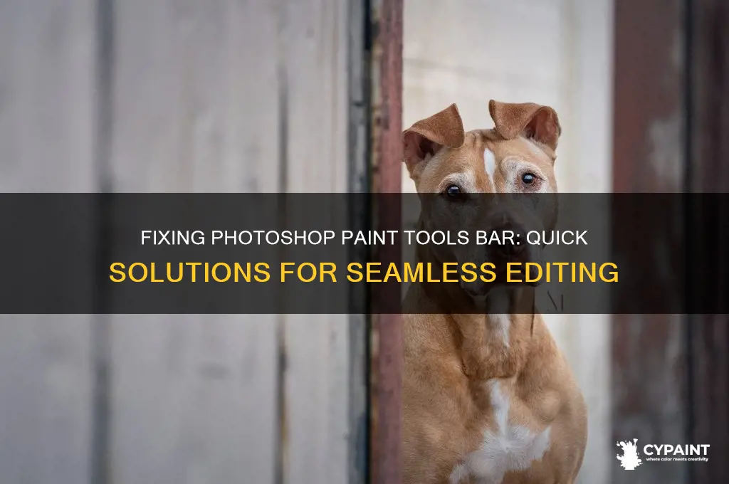 how to fix ps paint tools bar