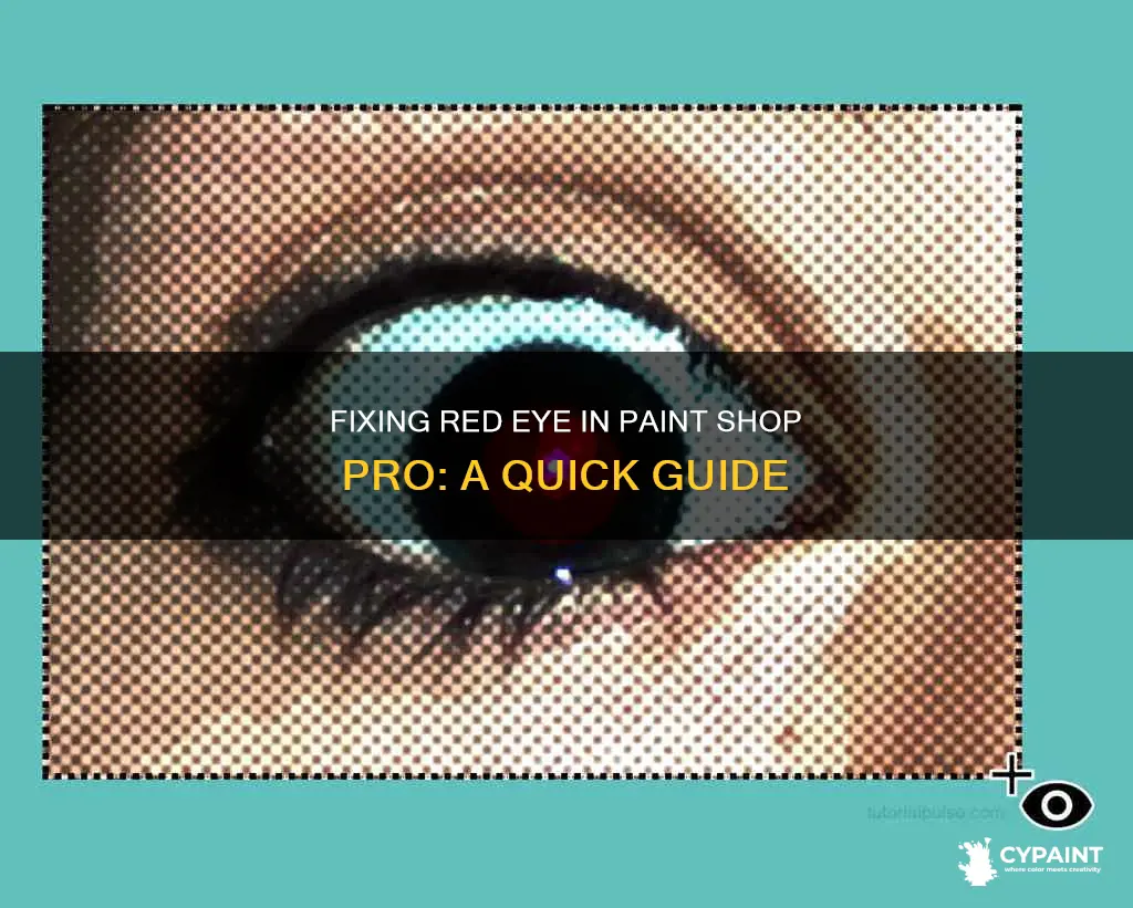 how to fix red eye in paint shop pro