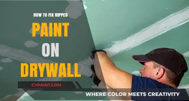 Quick Fix for Ripped Paint: Repairing Drywall Like a Pro