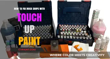 Repairing Rock Chips: Touch-Up Paint Application Guide