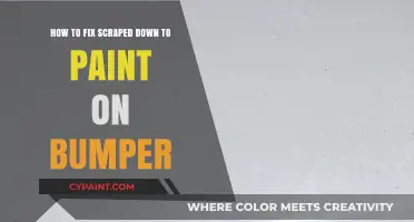 Repairing Scraped Bumpers: Painting and Polishing Techniques