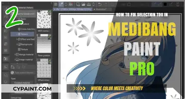 Fixing the Selection Tool in Medibang Paint Pro: A Guide