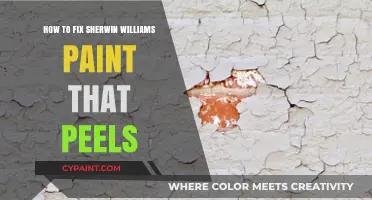 Fix Peeling Sherwin Williams Paint: Step-by-Step Repair Guide