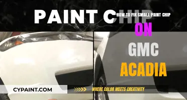 Quickly Fix Small Paint Chips on Your GMC Acadia