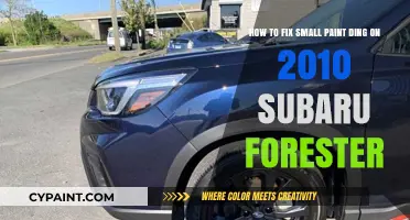 Quick Fix for Small Paint Dings on 2010 Subaru Forester