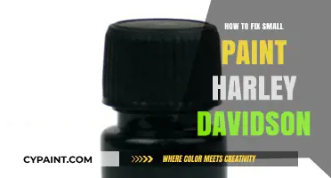 Easy DIY Guide to Repairing Small Paint Chips on Harley-Davidson Motorcycles