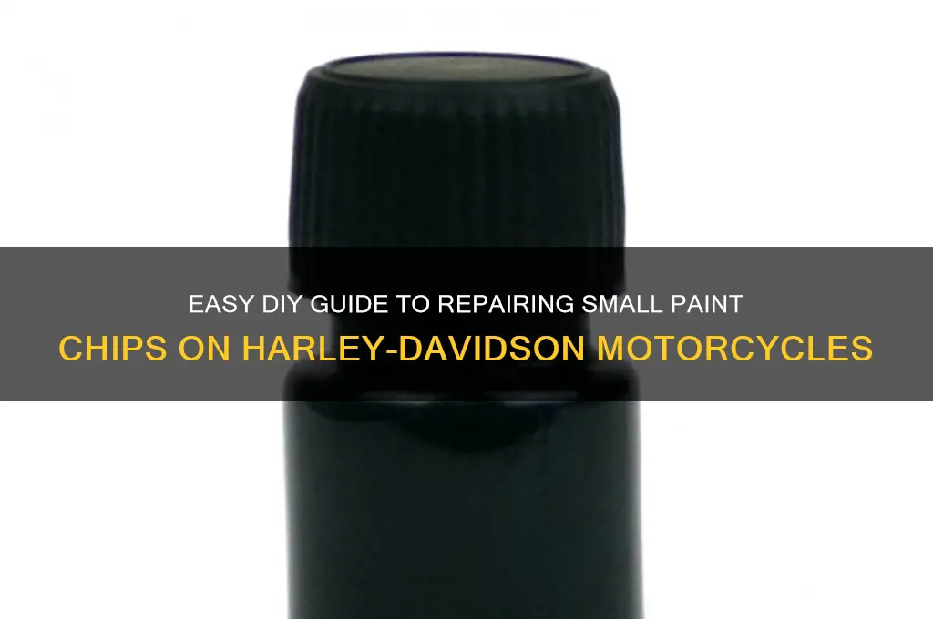 how to fix small paint harley davidson