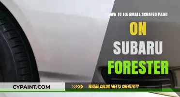 Quickly Fix Your Subaru Forester's Scraped Paint