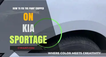 Repairing Paint Chips on Your Kia Sportage
