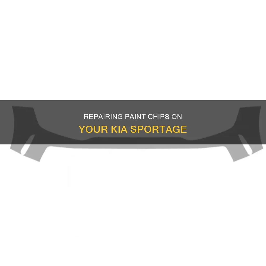 how to fix the paint chipped on kia sportage