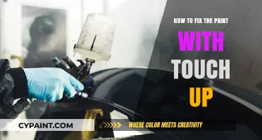 Mastering Paint Touch-Ups: Easy Fixes for Flawless Car Finishes