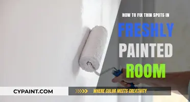 Quickly Fix Thin Spots: A Freshly Painted Room Guide