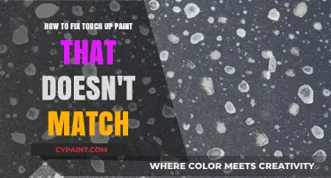 Fixing Mismatched Touch-Up Paint: Tips for a Seamless Repair