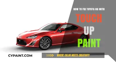 Touch-Up Paint: Fixing Your Toyota 86's Paint Job