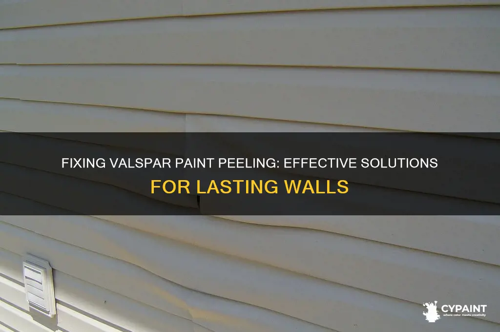 how to fix valspar paint peeling off