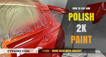 Mastering the Art of Flattening and Polishing 2K Paint Finishes