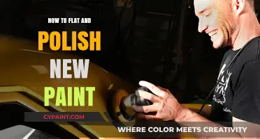 Mastering the Art of Flattening and Polishing New Paint Finishes