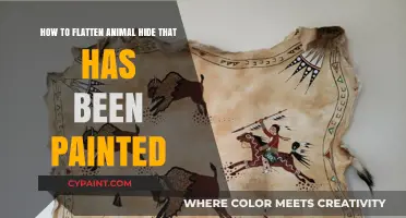 Unrolling Animal Hide Art: Techniques for Flattening Fur