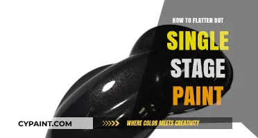 Mastering Single Stage Paint: Techniques to Achieve a Flawless, Flat Finish