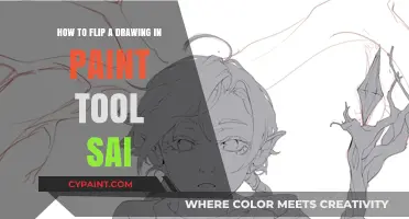 Flipping Drawings: Paint Tool Sai's Secret