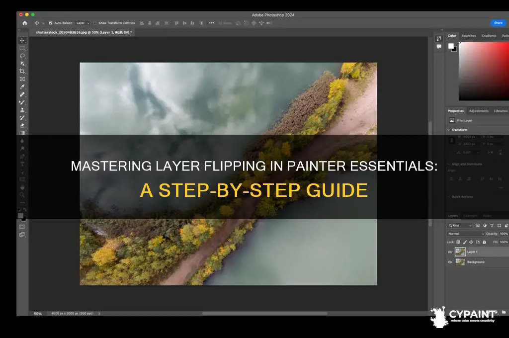 how to flip a layer painter essentials