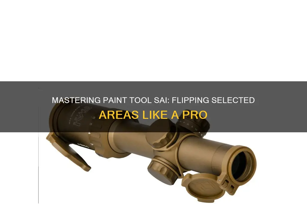 how to flip a selectd area in paint tool asi