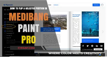 Mastering Medibang Paint Pro: Flipping Selected Portions Like a Pro