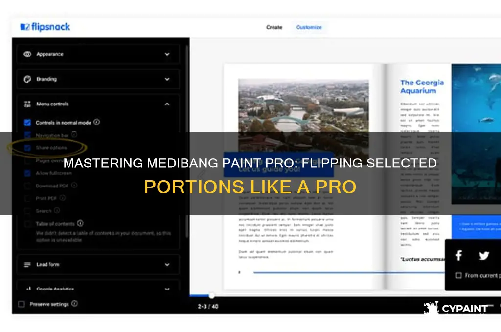 how to flip a selected portion in medibang paint pro