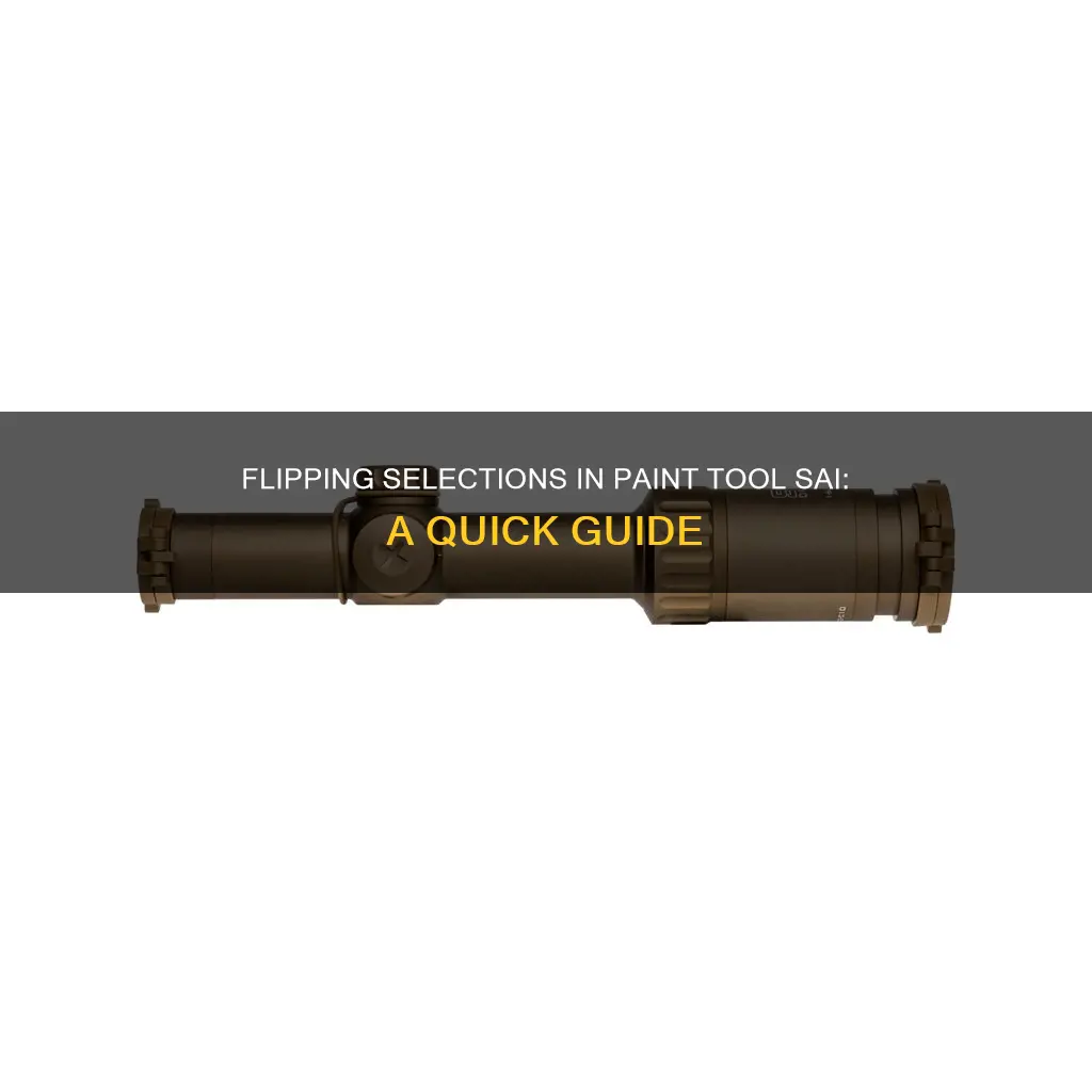 how to flip a selection in paint tool sai
