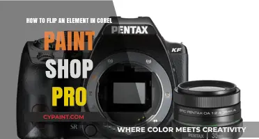Mastering Corel PaintShop Pro: Easy Steps to Flip Elements Effectively