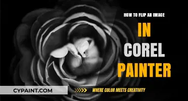 Master Image Flipping in Corel Painter: A Quick Step-by-Step Guide