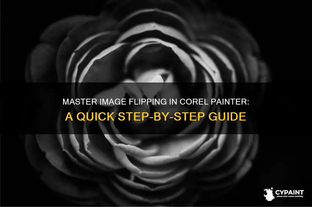 how to flip an image in corel painter