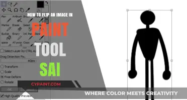 Flipping Images in Paint Tool Sai: A Step-by-Step Guide