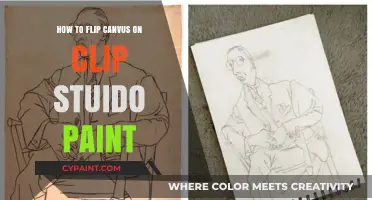 Master Canvas Flipping in Clip Studio Paint: Easy Step-by-Step Guide